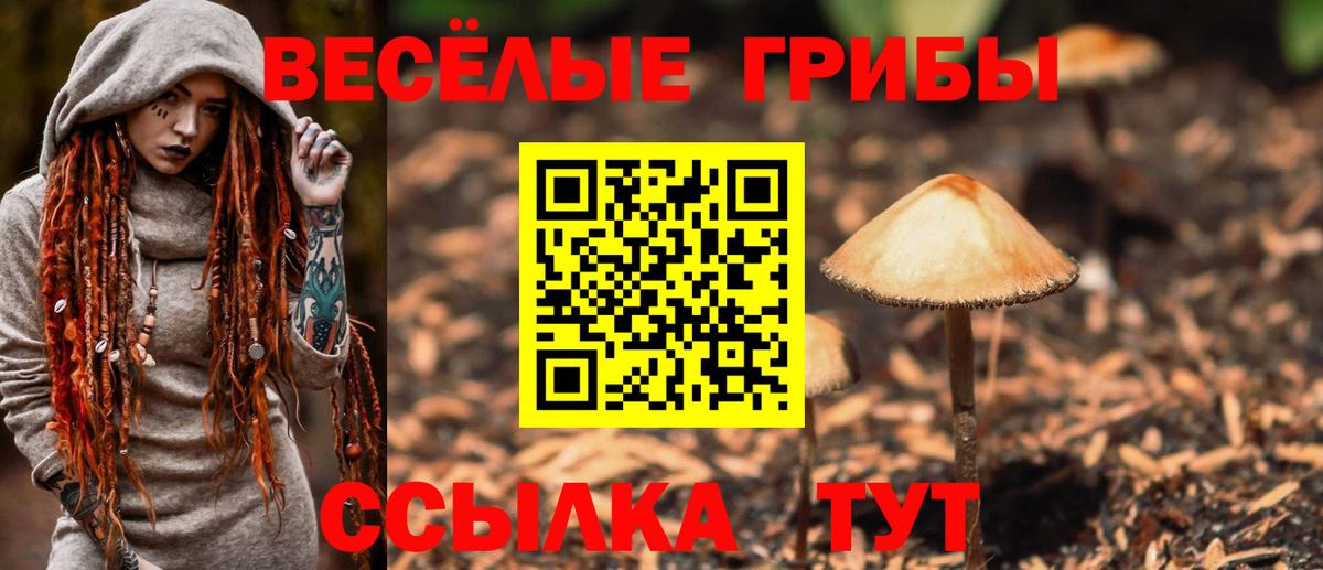 Псилоцибиновые грибы MAGIC MUSHROOMS  Вход с VPN  где продают наркотики  Железногорск 